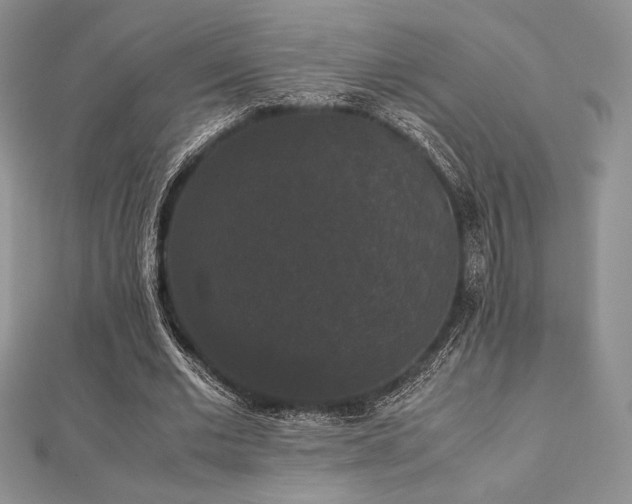 X0000112530677200908171421