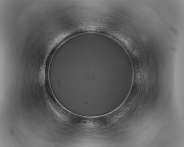 X0000112530678200908171421