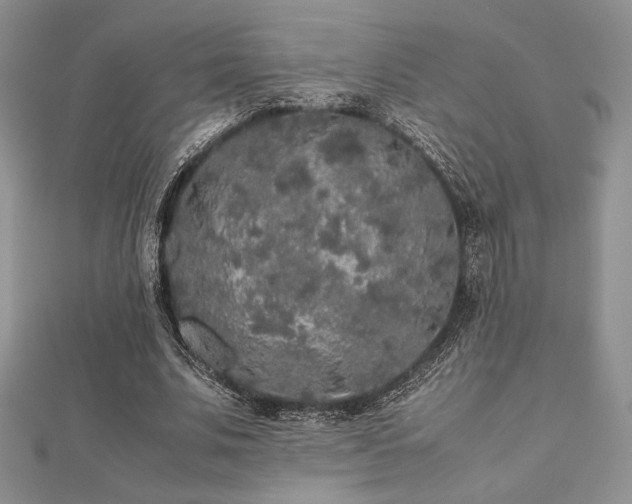 X0000112530679200908171421