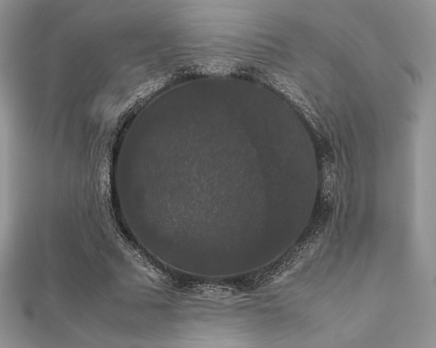 X0000112530681200908171421