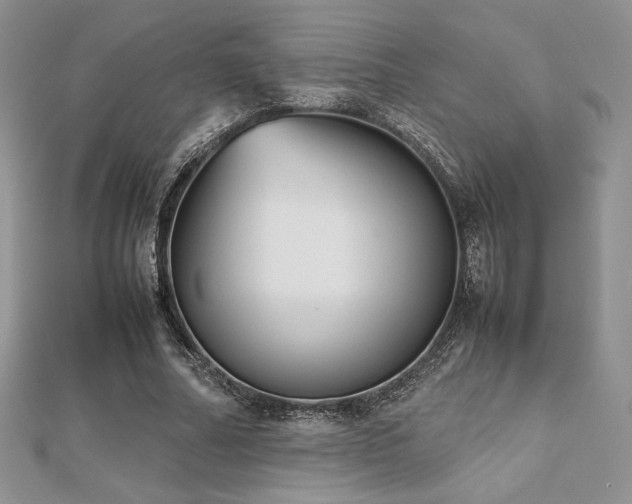X0000112530682200908171421
