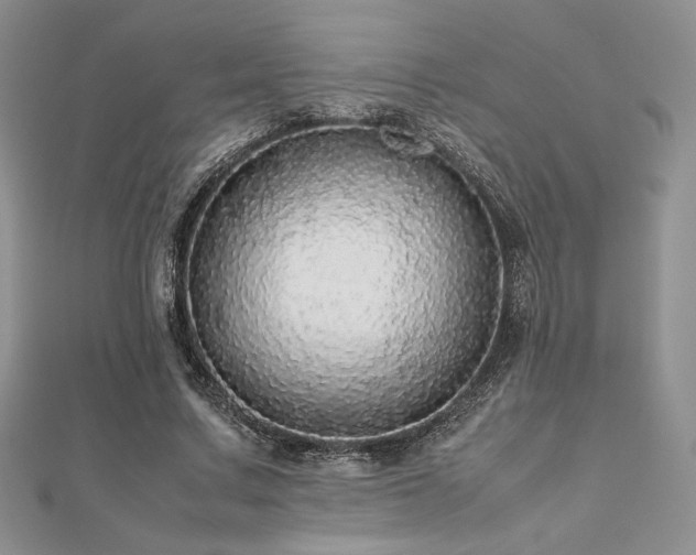 X0000112530683200908171421