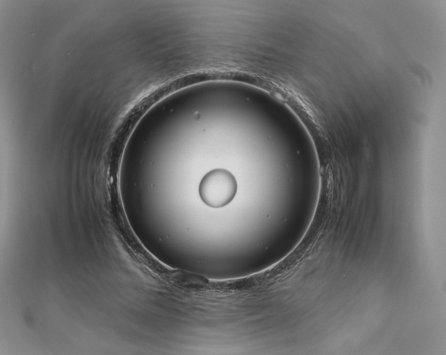 X0000112530684200908171421
