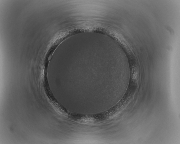 X0000112530685200908171421