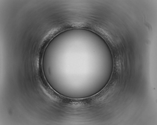 X0000112530686200908171421