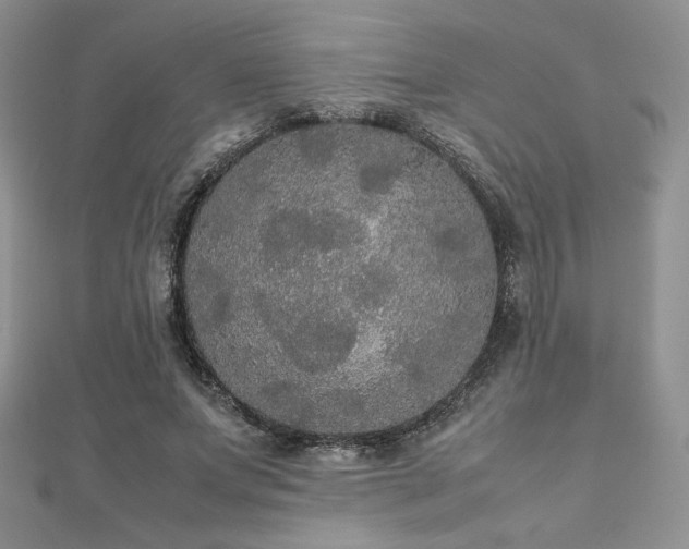 X0000112530687200908171421