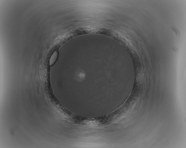 X0000112530689200908171421
