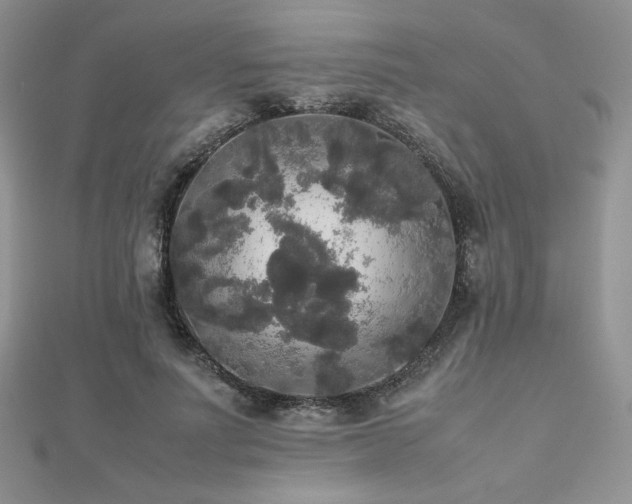 X0000112530691200908171421