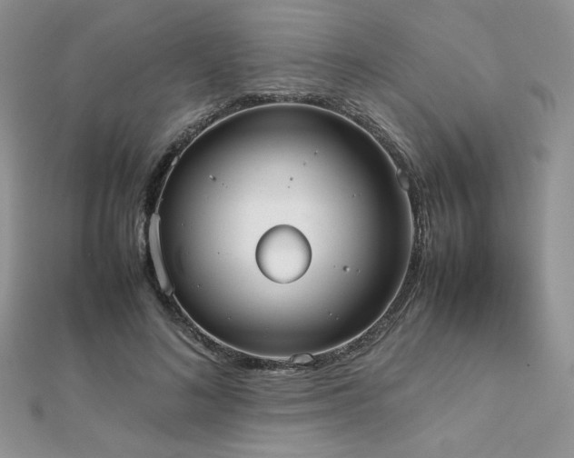 X0000112530692200908171421