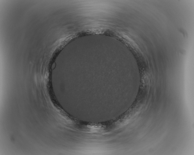 X0000112530693200908171421
