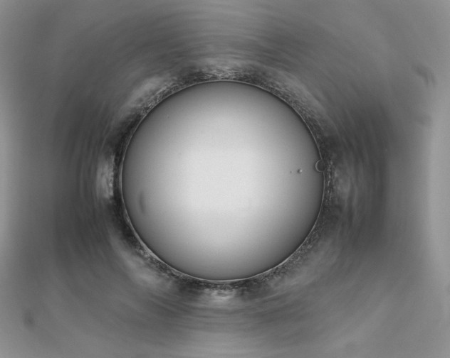 X0000112530694200908171421