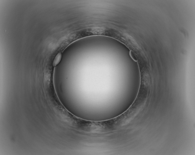 X0000112530697200908171421