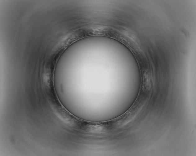 X0000112530698200908171421