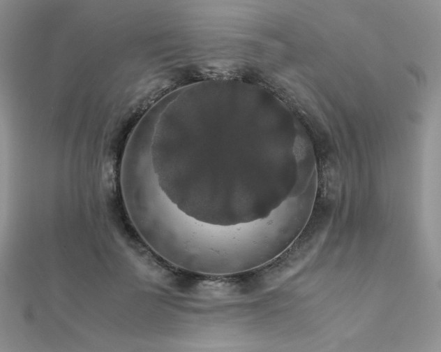 X0000112530699200908171421