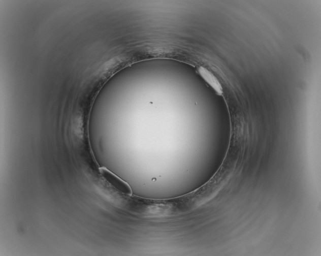 X0000112530700200908171421