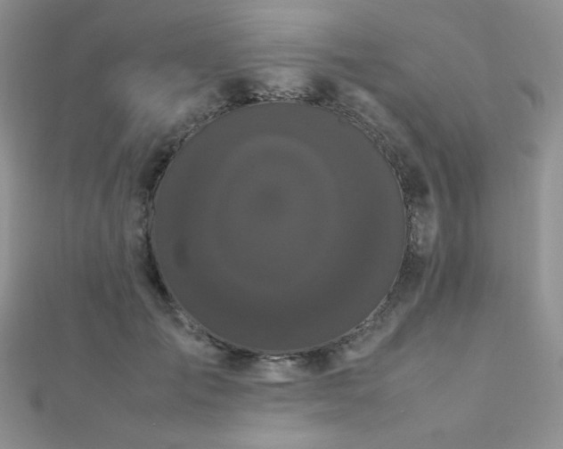 X0000112530701200908171421