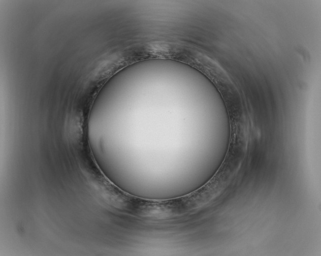 X0000112530702200908171421