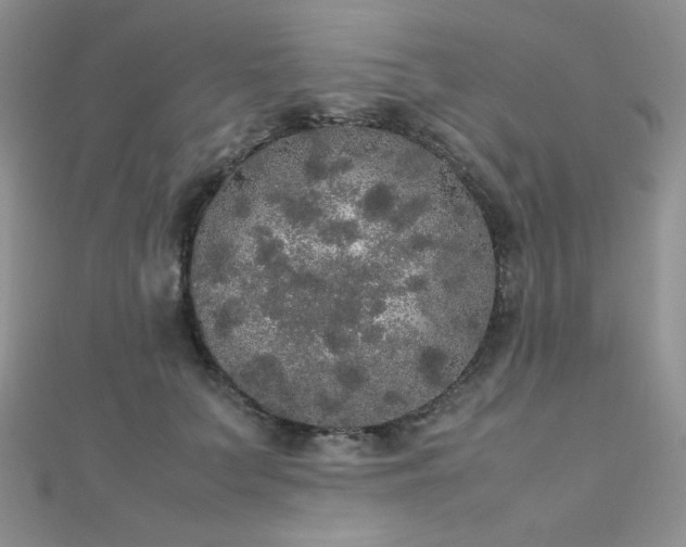 X0000112530703200908171421