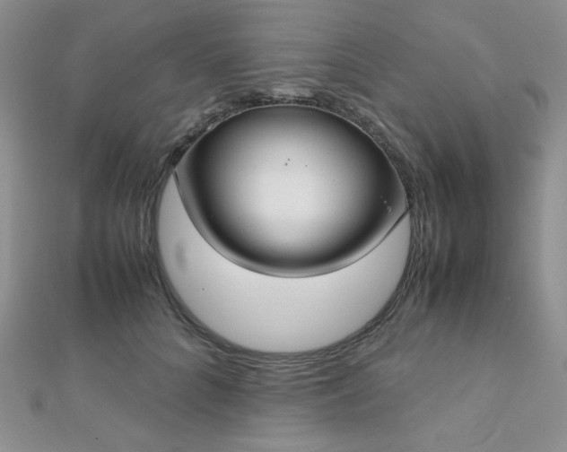 X0000112530704200908171421