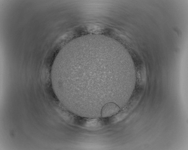 X0000112530705200908171421