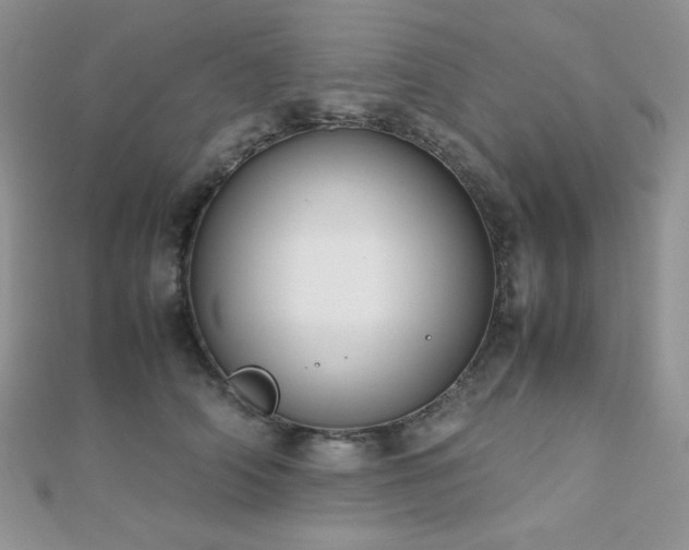 X0000112530706200908171421
