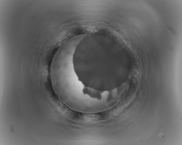 X0000112530707200908171421