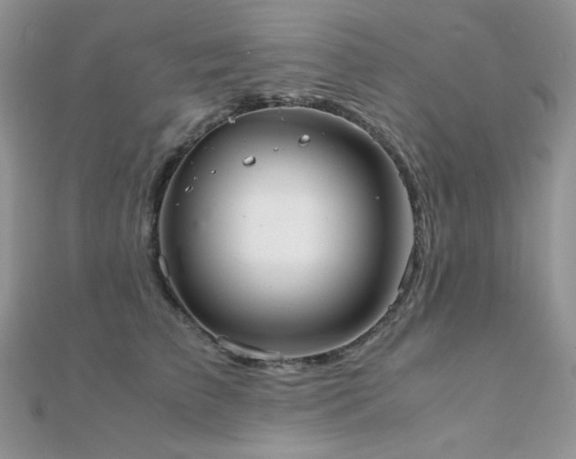 X0000112530709200908171421
