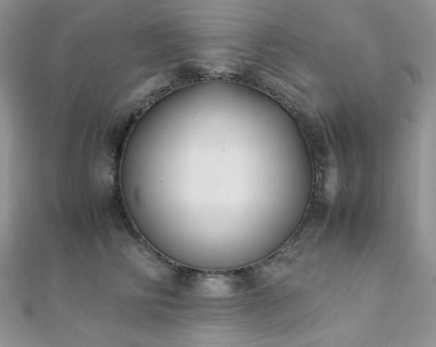 X0000112530710200908171421