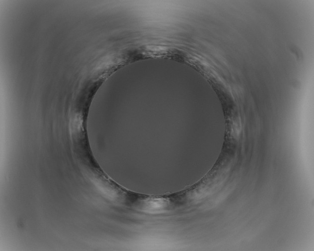 X0000112530711200908171421