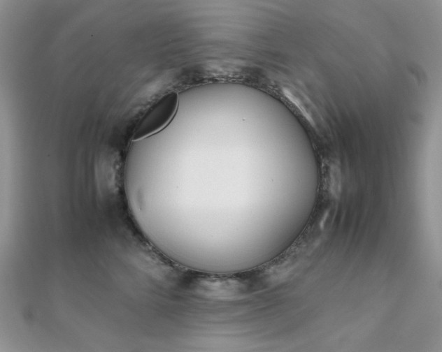 X0000112530712200908171421
