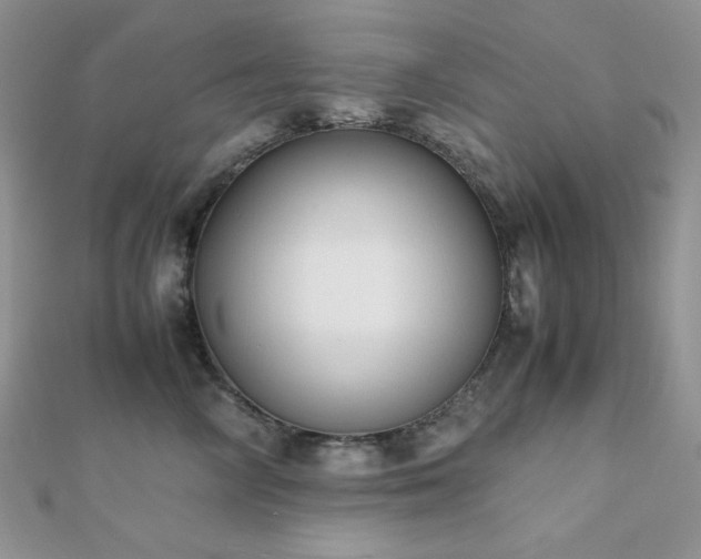 X0000112530714200908171421