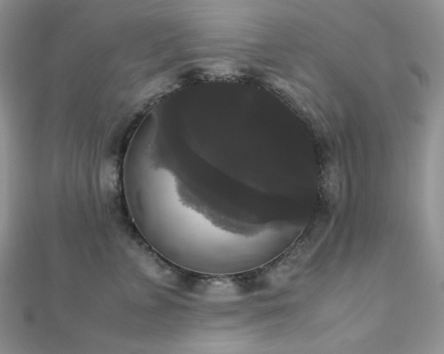 X0000112530715200908171421