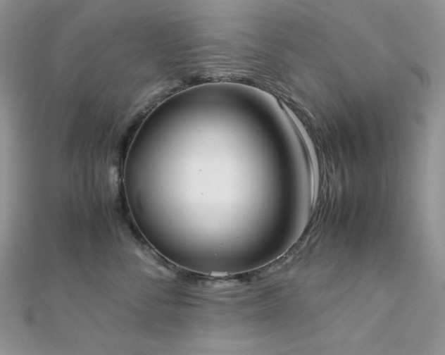 X0000112530716200908171421
