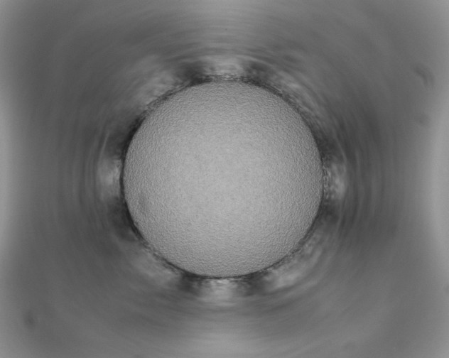X0000112530717200908171420
