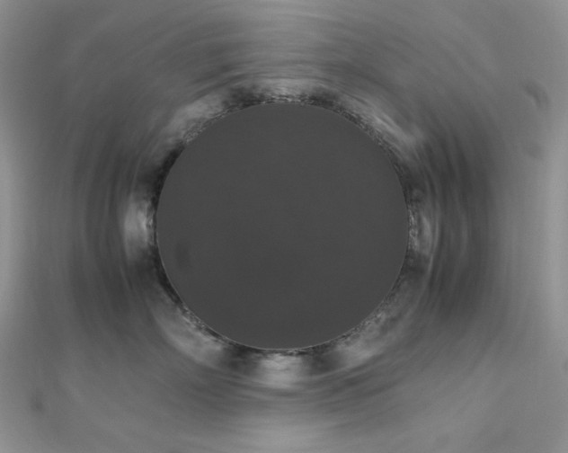 X0000112530718200908171420