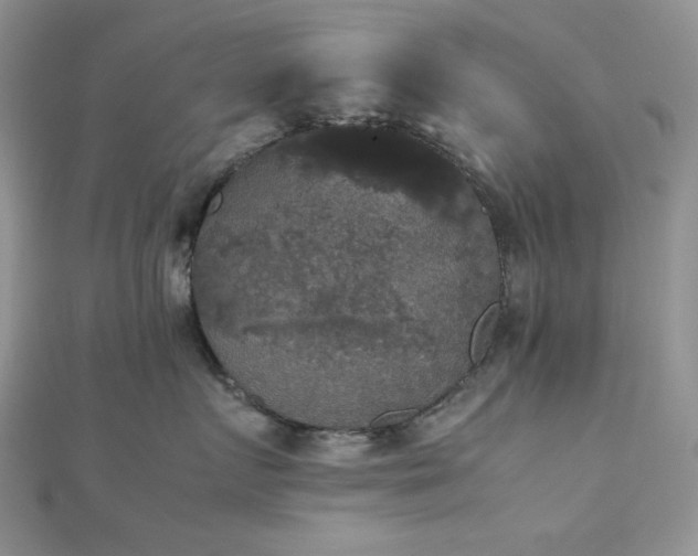 X0000112530719200908171420