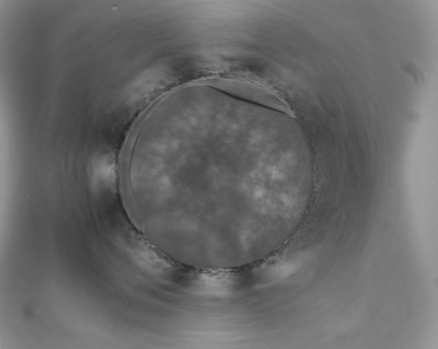 X0000112530720200908171420