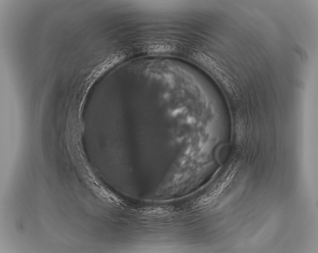 X0000112530721200908171420