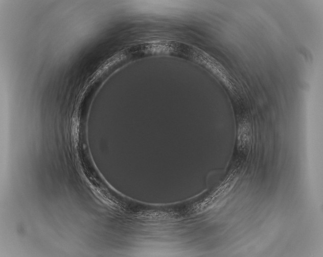 X0000112530722200908171420