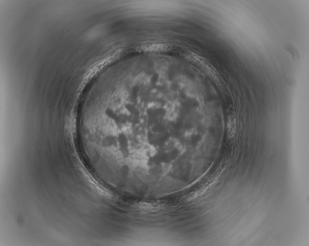 X0000112530725200908171420