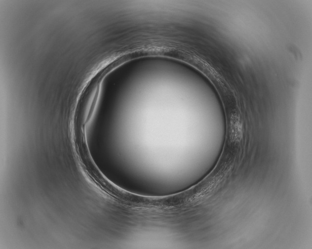 X0000112530726200908171420