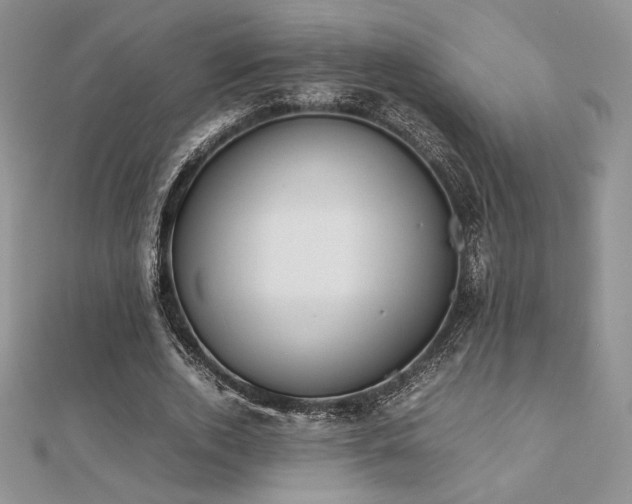 X0000112530728200908171420