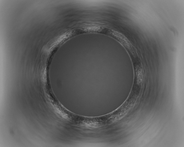 X0000112530729200908171420