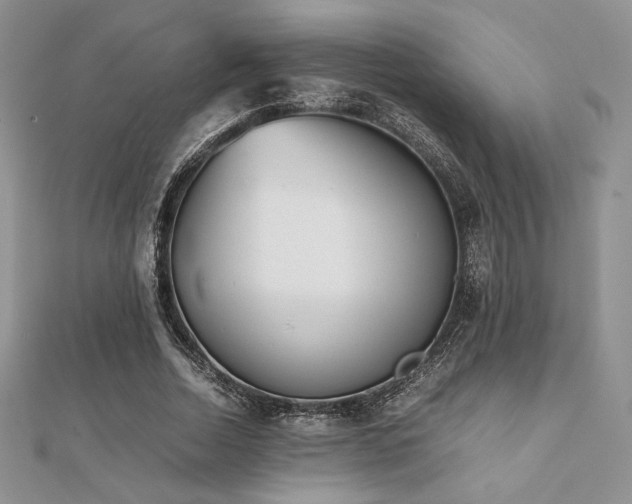 X0000112530730200908171420