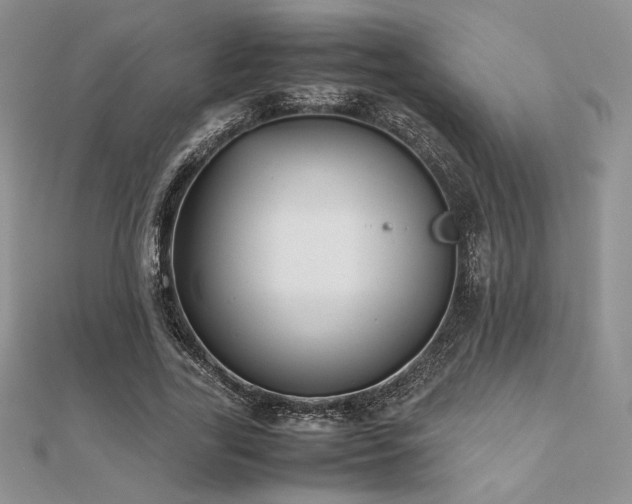 X0000112530731200908171420