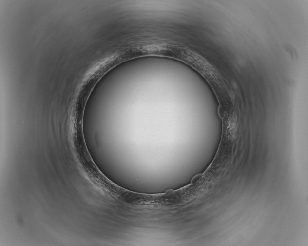 X0000112530732200908171420