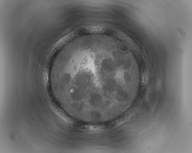 X0000112530733200908171420