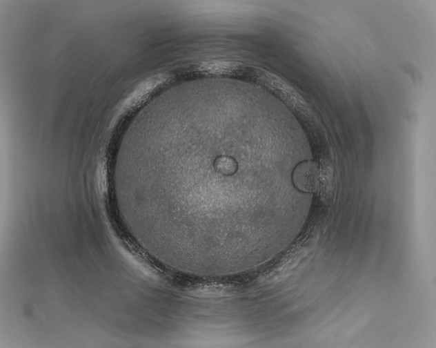 X0000112530734200908171420