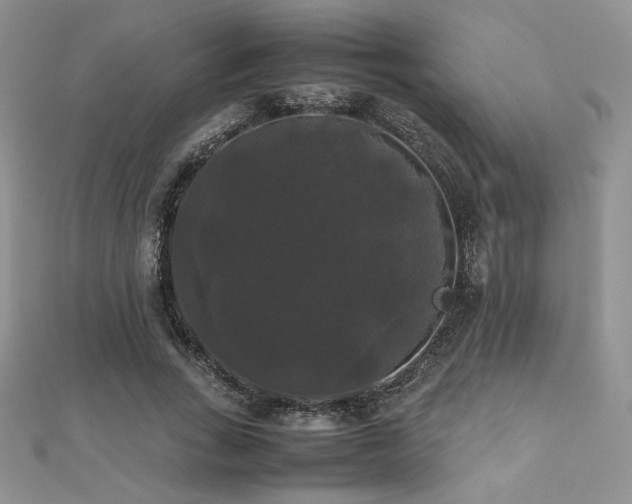 X0000112530735200908171420