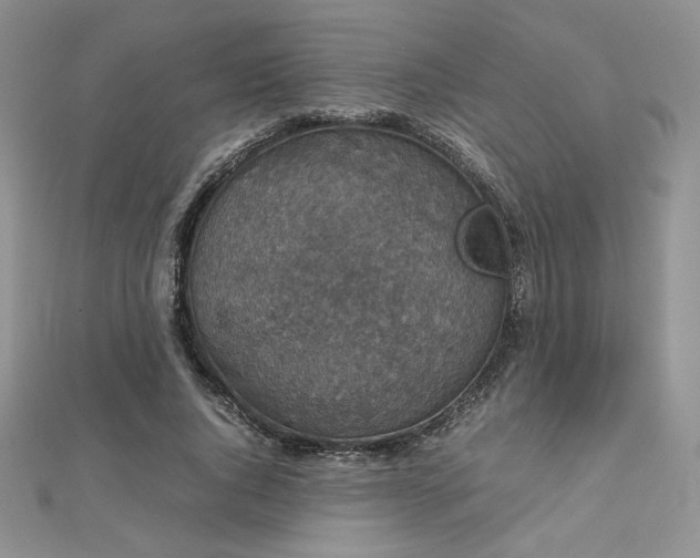 X0000112530736200908171420